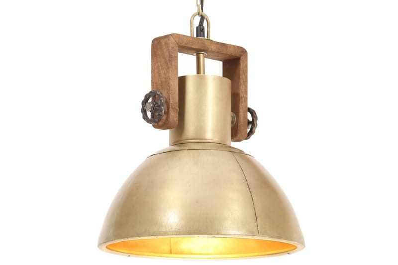 Industriel Hængelampe 25 W Rund 30 cm E27 Messingfarvet - Belysning - Lamper & indendørsbelysning - Vindueslampe - Vindueslampe hængende