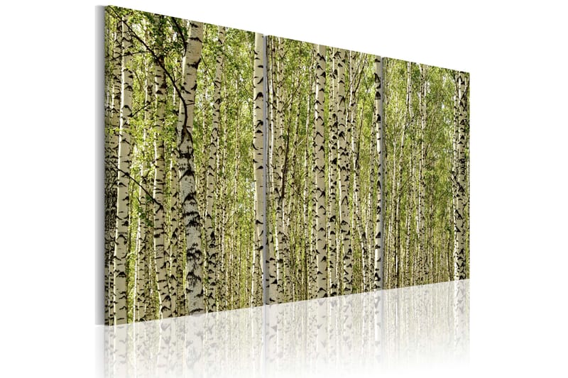 Billede A forest of birch trees 60x40 - Artgeist sp. z o. o. - Boligtilbehør - Billeder & kunst - Billeder på lærred