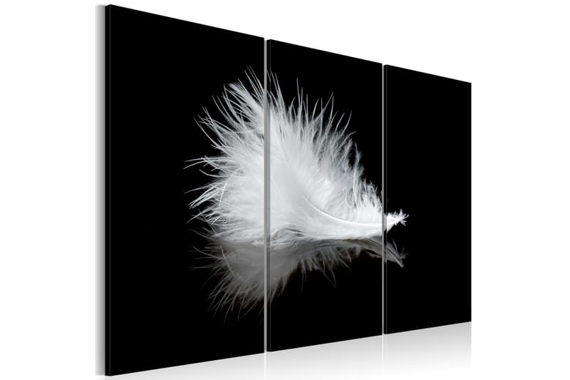 Billede A Small Feather 60x40 - Artgeist sp. z o. o. - Boligtilbehør - Billeder & kunst - Billeder på lærred