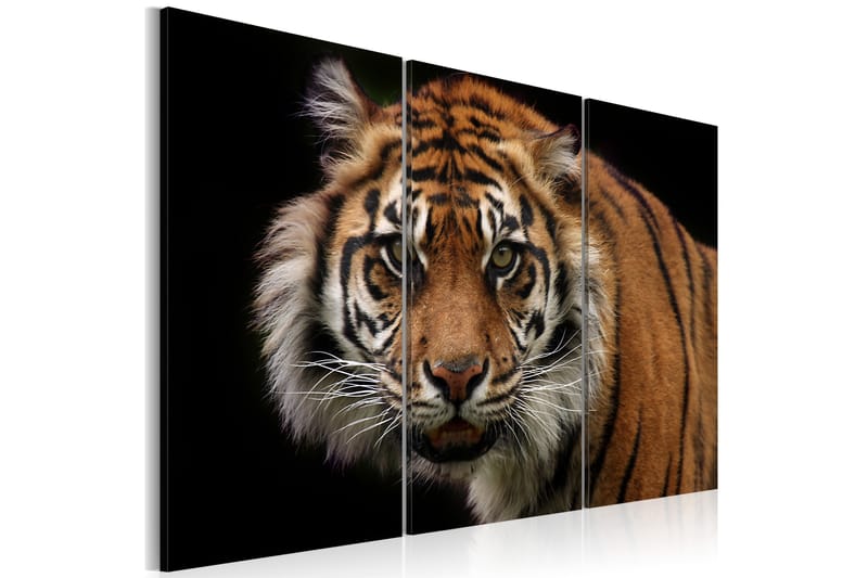 Billede A Wild Tiger 120x80 - Artgeist sp. z o. o. - Boligtilbehør - Billeder & kunst - Billeder på lærred