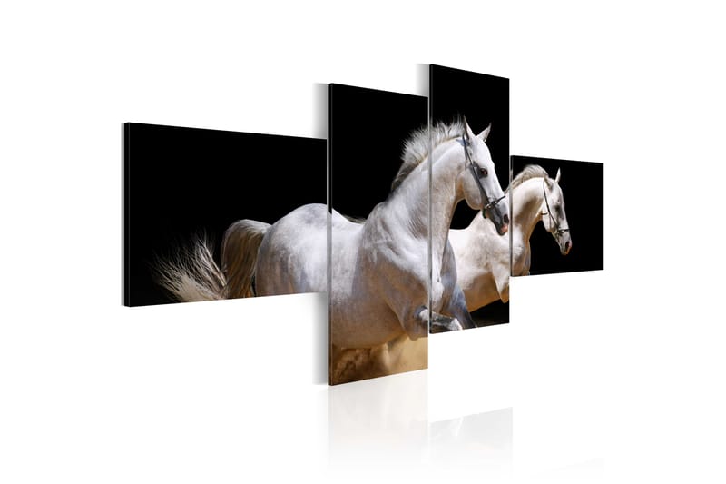 Billede Animal World- White Horses Galloping 100x45 - Artgeist sp. z o. o. - Boligtilbehør - Billeder & kunst - Billeder på lærred