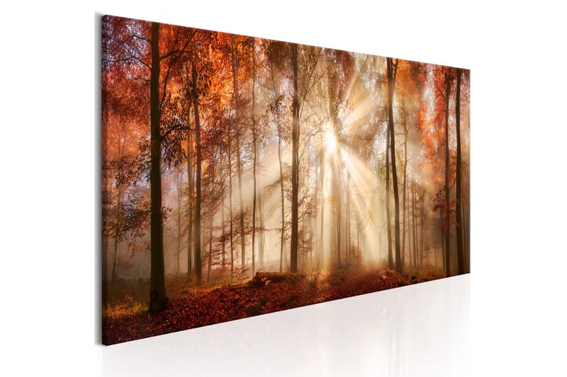 Billede Autumnal Dawn 120x40 - Artgeist sp. z o. o. - Boligtilbehør - Billeder & kunst - Billeder på lærred