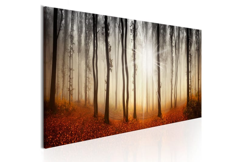 Billede Autumnal Fog 135x45 - Artgeist sp. z o. o. - Boligtilbehør - Billeder & kunst - Billeder på lærred