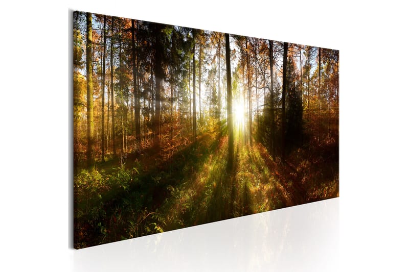 Billede Beautiful Forest 120x40 - Artgeist sp. z o. o. - Boligtilbehør - Billeder & kunst - Billeder på lærred