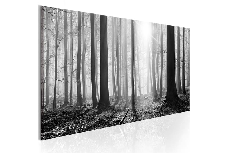 Billede Black And White Forest 150x50 - Artgeist sp. z o. o. - Boligtilbehør - Billeder & kunst - Billeder på lærred