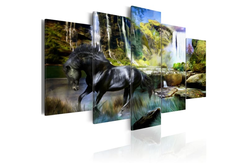 Billede Black Horse Background Of Paradise 100x50 - Artgeist sp. z o. o. - Boligtilbehør - Billeder & kunst - Billeder på lærred