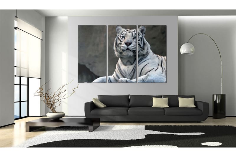 Billede Black White Tiger 90x60 - Artgeist sp. z o. o. - Boligtilbehør - Billeder & kunst - Billeder på lærred