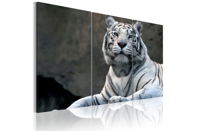 Billede Black White Tiger 90x60 - Artgeist sp. z o. o. - Boligtilbehør - Billeder & kunst - Billeder på lærred