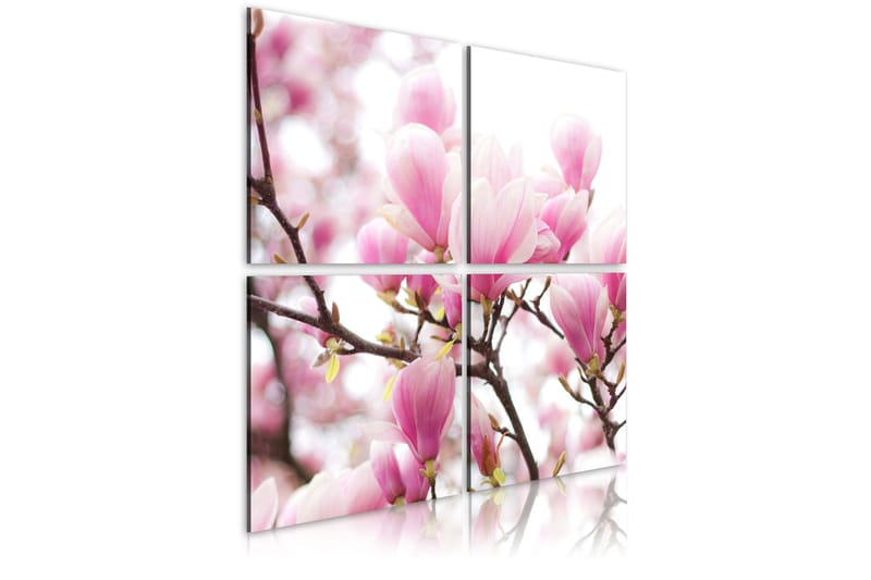 Billede Blomsternde Magnolia Træ 40x40 - Artgeist sp. z o. o. - Boligtilbehør - Billeder & kunst - Billeder på lærred