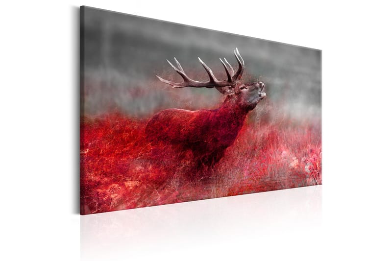 Billede Bloody Field 120x80 - Artgeist sp. z o. o. - Boligtilbehør - Billeder & kunst - Billeder på lærred