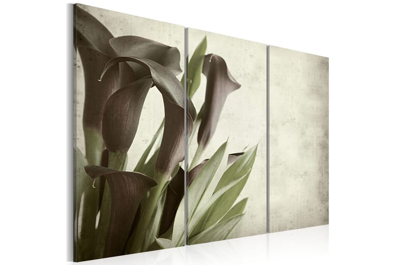 Billede callas vintage 90x60 - Artgeist sp. z o. o. - Boligtilbehør - Billeder & kunst - Billeder på lærred