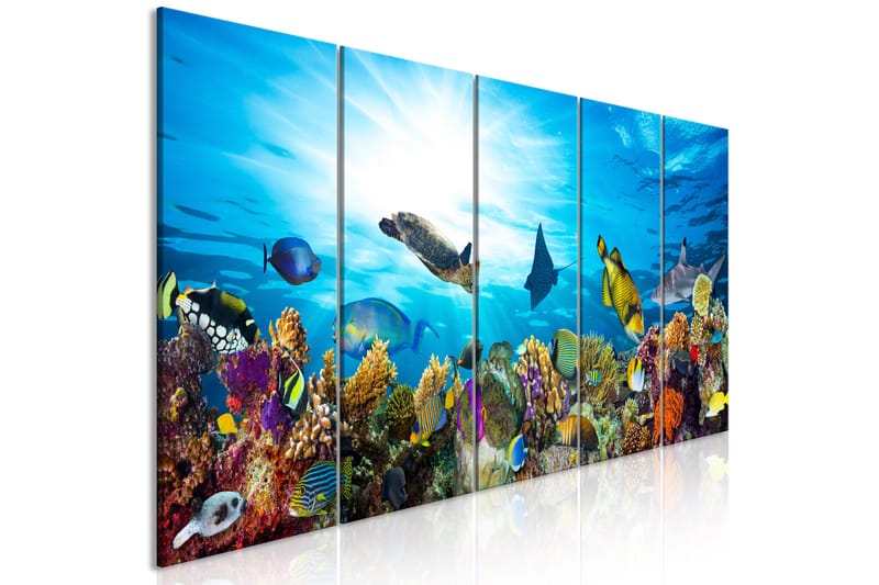 Billede Coral Reef (5 dele) Smal 225x90 - Artgeist sp. z o. o. - Boligtilbehør - Billeder & kunst - Billeder på lærred