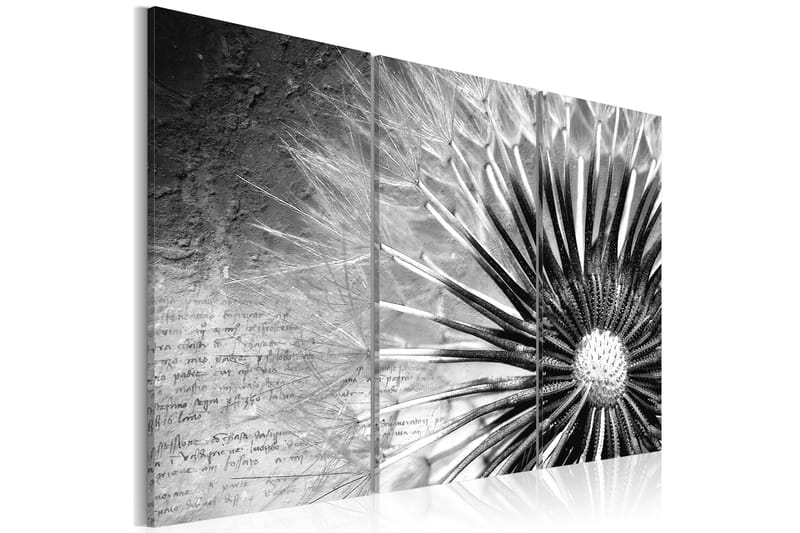 Billede Dandelion (black and white) 90x60 - Artgeist sp. z o. o. - Boligtilbehør - Billeder & kunst - Billeder på lærred