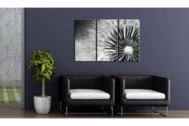 Billede Dandelion (black and white) 90x60 - Artgeist sp. z o. o. - Boligtilbehør - Billeder & kunst - Billeder på lærred