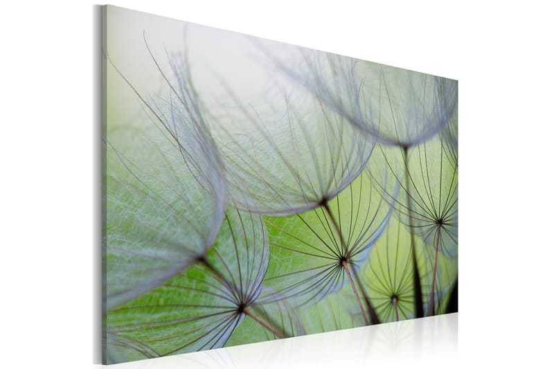 Billede Dandelion In The Wind 90x60 - Artgeist sp. z o. o. - Boligtilbehør - Billeder & kunst - Billeder på lærred