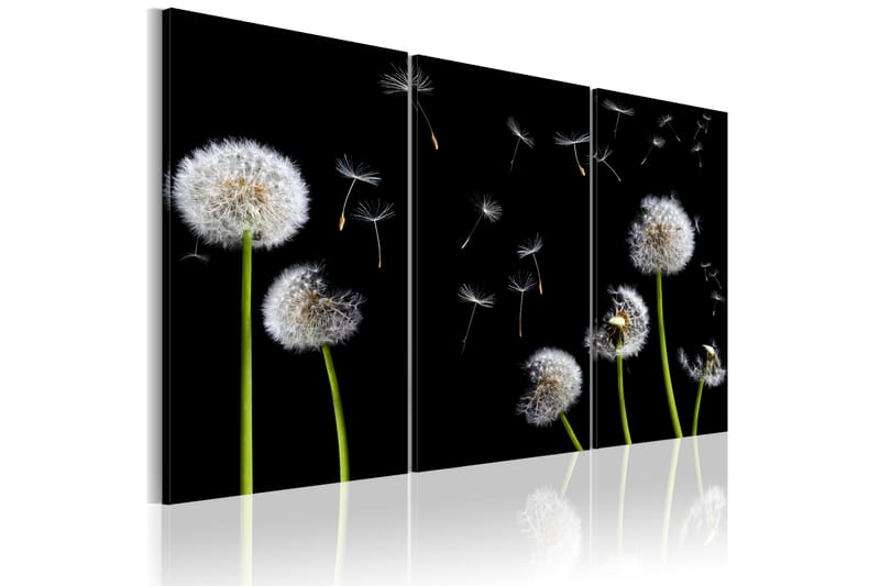 Billede Dandelions Family 120x80 - Artgeist sp. z o. o. - Boligtilbehør - Billeder & kunst - Billeder på lærred