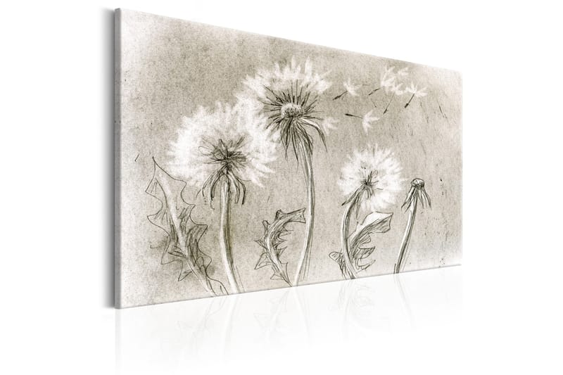 Billede Dandelions (Pencil Artwork) 90x60 - Artgeist sp. z o. o. - Boligtilbehør - Billeder & kunst - Billeder på lærred