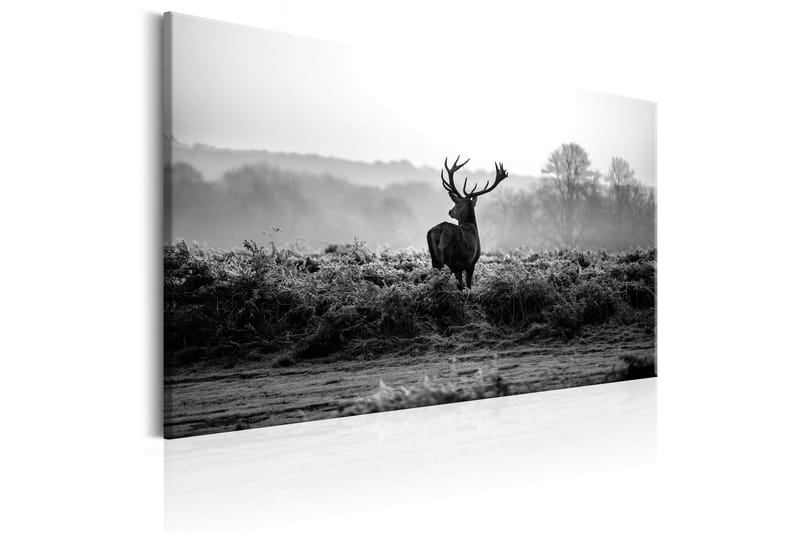 Billede Deer in the Wild 90x60 - Artgeist sp. z o. o. - Boligtilbehør - Billeder & kunst - Billeder på lærred