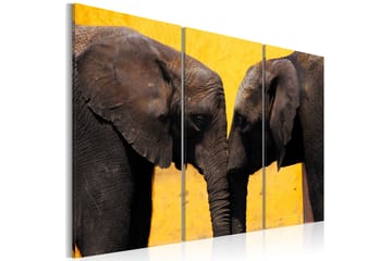Billede Elephant Kiss 120x80