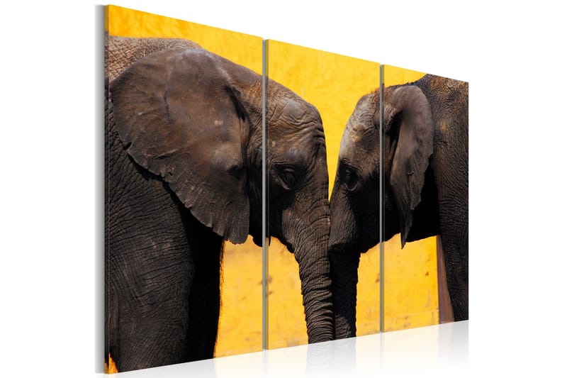 Billede Elephant kiss 90x60 - Artgeist sp. z o. o. - Billeder på lærred
