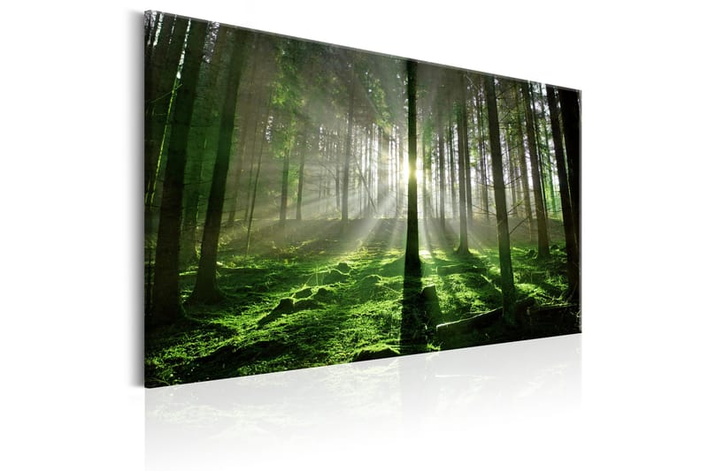 Billede Emerald Forest II 120x80 - Artgeist sp. z o. o. - Boligtilbehør - Billeder & kunst - Billeder på lærred