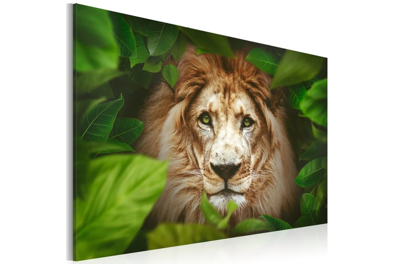 Billede Eyes of the Jungle 120x80 - Artgeist sp. z o. o. - Boligtilbehør - Billeder & kunst - Billeder på lærred