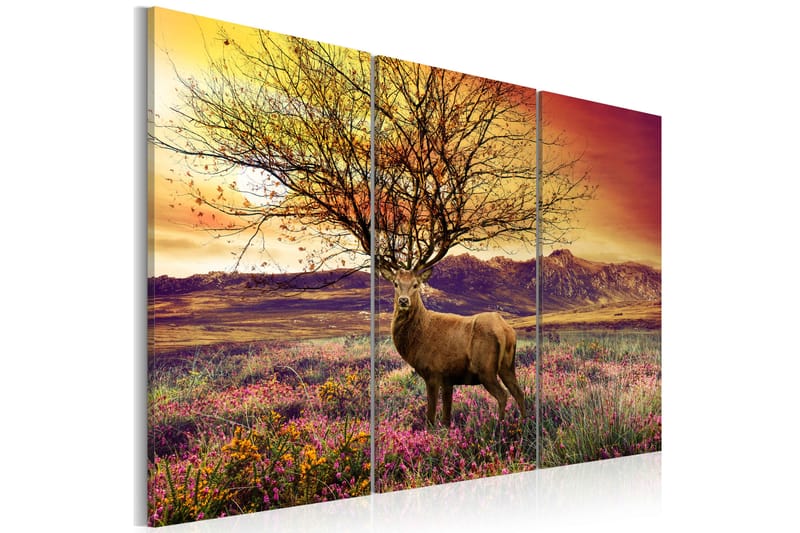 Billede Fancy antler Triptych 90x60 - Artgeist sp. z o. o. - Boligtilbehør - Billeder & kunst - Billeder på lærred