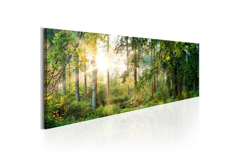 Billede Forest Shelter 120x40 - Artgeist sp. z o. o. - Boligtilbehør - Billeder & kunst - Billeder på lærred