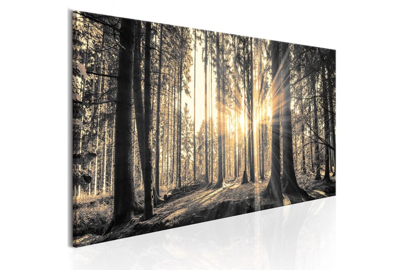 Billede Forest Sun 120x40 - Artgeist sp. z o. o. - Boligtilbehør - Billeder & kunst - Billeder på lærred