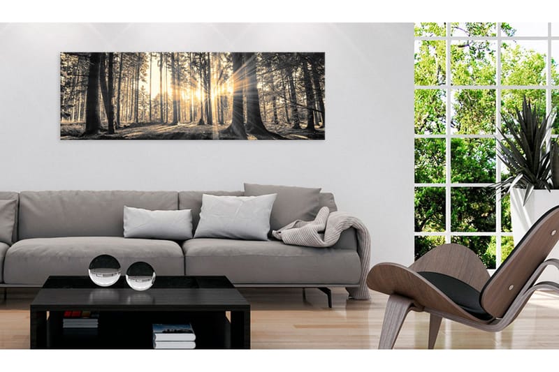 Billede Forest Sun 120x40 - Artgeist sp. z o. o. - Boligtilbehør - Billeder & kunst - Billeder på lærred