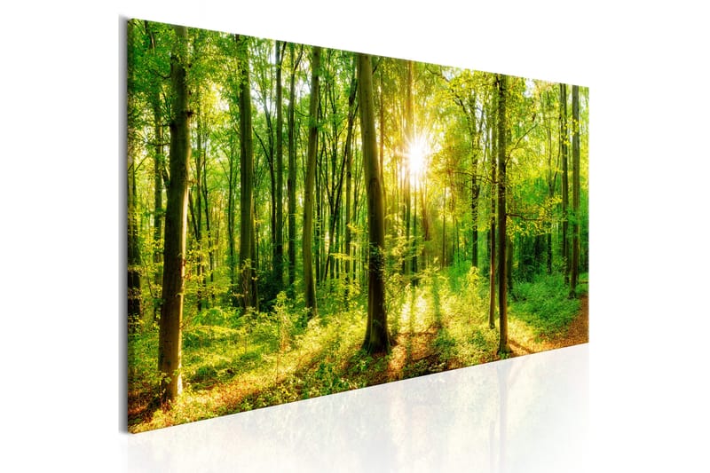 Billede Green Magic 120x40 - Artgeist sp. z o. o. - Boligtilbehør - Billeder & kunst - Billeder på lærred