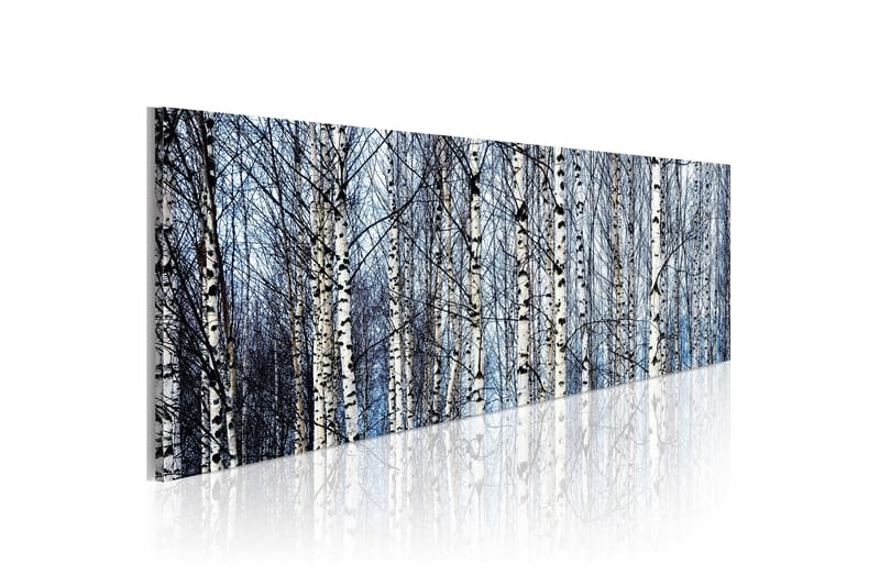 Billede Hvide Birketræer 120x40 - Artgeist sp. z o. o. - Boligtilbehør - Billeder & kunst - Billeder på lærred