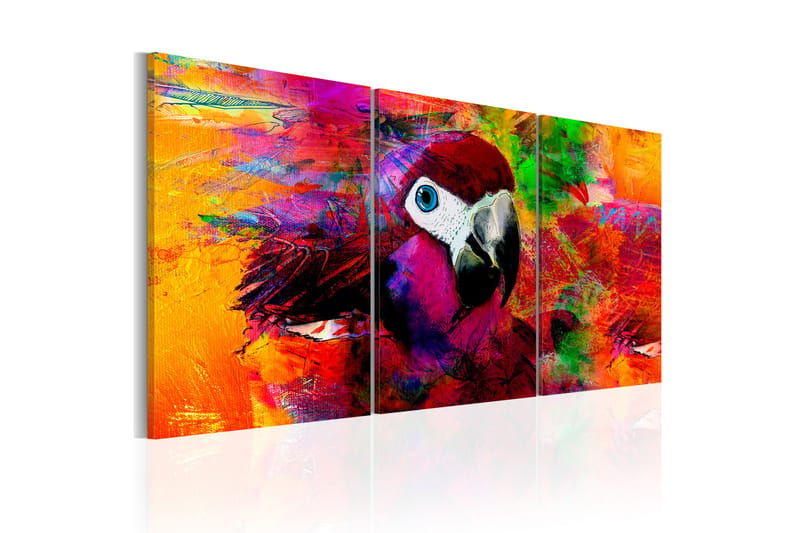 Billede Jungle of Colors 120x60 - Artgeist sp. z o. o. - Boligtilbehør - Billeder & kunst - Billeder på lærred