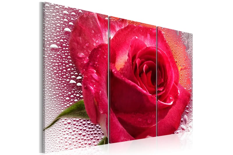 Billede Lady Rose trekant 90x60 - Artgeist sp. z o. o. - Boligtilbehør - Billeder & kunst - Billeder på lærred