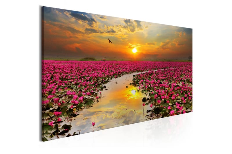 Billede Lily Field (1 del) Smal 150x50 - Artgeist sp. z o. o. - Boligtilbehør - Billeder & kunst - Billeder på lærred