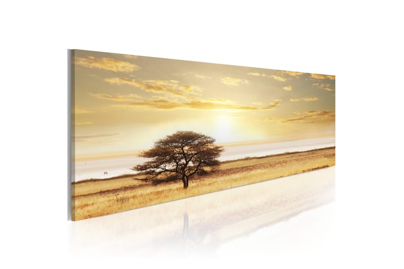 Billede Lonely tree on savannah 135x45 - Artgeist sp. z o. o. - Boligtilbehør - Billeder & kunst - Billeder på lærred