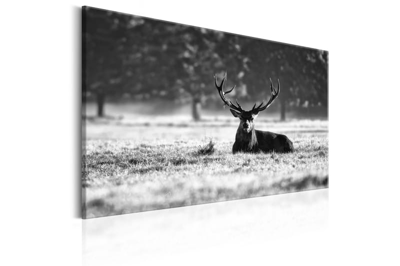 Billede Lying Deer 120x80 - Artgeist sp. z o. o. - Boligtilbehør - Billeder & kunst - Billeder på lærred