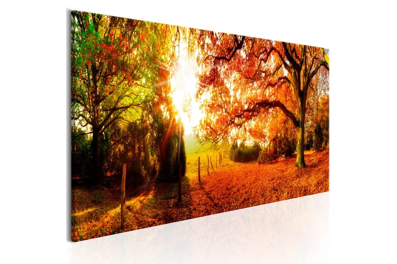 Billede Magic of Autumn 120x40 - Artgeist sp. z o. o. - Boligtilbehør - Billeder & kunst - Billeder på lærred