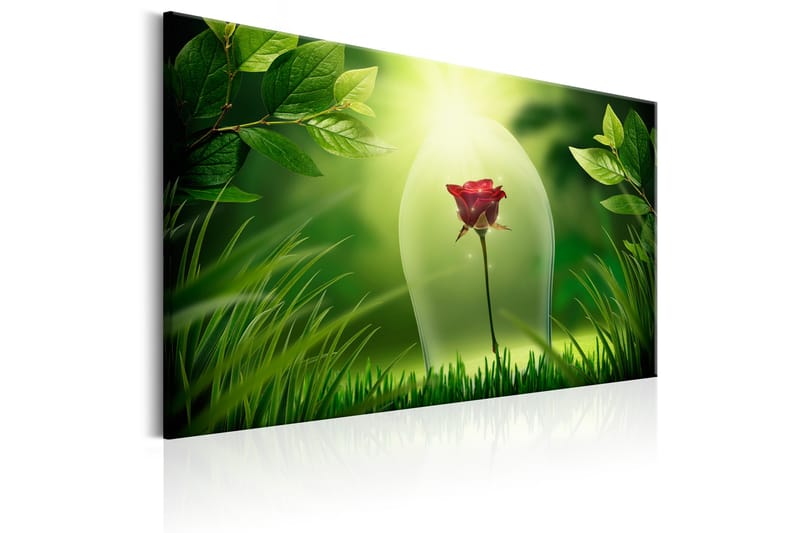 Billede Magical Rose 60x40 - Artgeist sp. z o. o. - Boligtilbehør - Billeder & kunst - Billeder på lærred