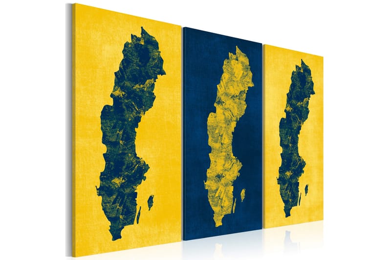 Billede Malet Kort Over Sverige Triptyk 120x80 - Artgeist sp. z o. o. - Boligtilbehør - Billeder & kunst - Billeder på lærred