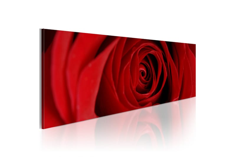 Billede Midnight Rose 120x40 - Artgeist sp. z o. o. - Boligtilbehør - Billeder & kunst - Billeder på lærred