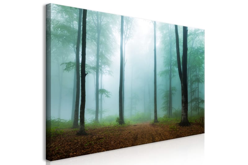 Billede Misty Morning (1 del) Bred 120x60 - Artgeist sp. z o. o. - Boligtilbehør - Billeder & kunst - Billeder på lærred