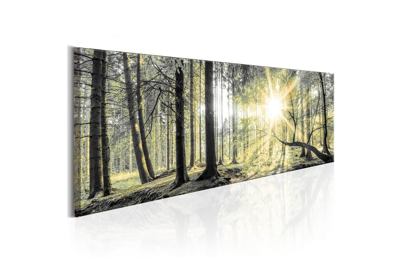 Billede Morning Forest 120x40 - Artgeist sp. z o. o. - Boligtilbehør - Billeder & kunst - Billeder på lærred