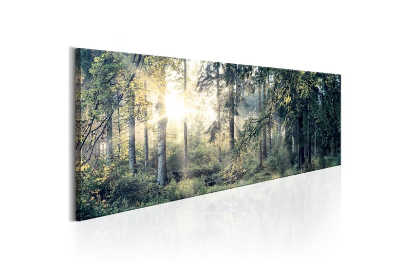 Billede Morning Magic 120x40 - Artgeist sp. z o. o. - Boligtilbehør - Billeder & kunst - Billeder på lærred