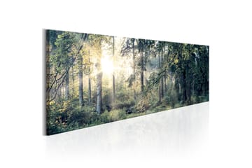 Billede Morning Magic 135x45