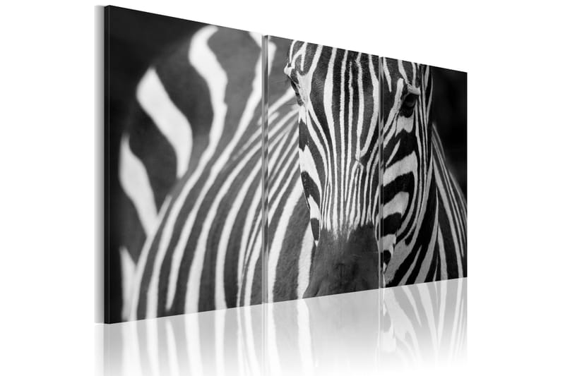 Billede Mrs Zebra 120x80 - Artgeist sp. z o. o. - Boligtilbehør - Billeder & kunst - Billeder på lærred