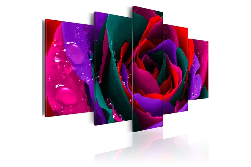 Billede Multicoloured Rose 100x50 - Artgeist sp. z o. o. - Boligtilbehør - Billeder & kunst - Billeder på lærred