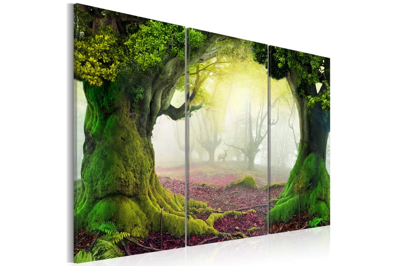 Billede Mysterious Forest Triptych 60x40 - Artgeist sp. z o. o. - Boligtilbehør - Billeder & kunst - Billeder på lærred