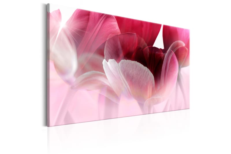 Billede Nature: Pink Tulips 120x80 - Artgeist sp. z o. o. - Boligtilbehør - Billeder & kunst - Billeder på lærred