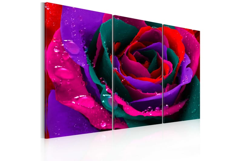 Billede Rainbow-colored rose 90x60 - Artgeist sp. z o. o. - Boligtilbehør - Billeder & kunst - Billeder på lærred